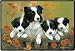 2 Pack of Border Collie Family Porch Doormat