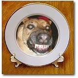 Psycho Dog Do Not Feed After Midnight - 8 Inch Porcelain Plate
