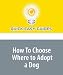 How To Choose Where to Adopt a Dog: Shelters, Rescues, or Breeders? Which Are Right for You? by Quick Easy Guides