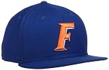 NCAA Florida Gators 9Fifty Snapback Cap (Light Royal, One Size Fits Most)