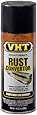 VHT SP229 Rust Convertor Can - 10.25 oz.