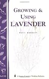 Growing & Using Lavender: Storey Country Wisdom Bulletin A 155 41zhTNYrWKL. SL160 Growing & Using Lavender: Storey Country Wisdom Bulletin A 155