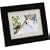Pandigital Jackson Digital Frame - Black (6")