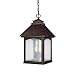 Capital Lighting 9057RI Lodge 3-Light Outdoor Pendant Fixture, Rustic Iron with Seeded Glass