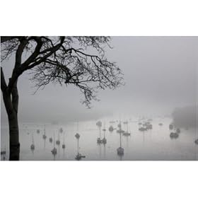 Photographic Print of Fog over Salcombe Estuary, Devon, UK from Science Photo Library