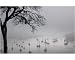 10x8 Photograph (25x20cm) Fog over Salcombe Estuary, Devon, UK by Science Photo Library