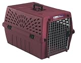 Petmate Deluxe Pet Porter Jr. Large Kennel, Peacock 41zi z1LoSL. SL160 Petmate Deluxe Pet Porter Jr. Large Kennel, Peacock