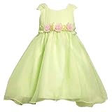 Bonnie Jean Green Organza Pink Rosette Easter Spring Dress Girl 3M-4T