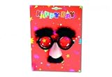 The Toy Company 17672 - Professor Brille mit