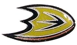 Anaheim Ducks Logo Pin