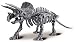 Magna-Bones 32 pcs by Mega Brands