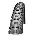 SCHWALBE MTB Reifen Nobby Nic 2.25 Zoll Performance