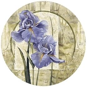 Click here to buy Iris in Bloom Sandstone Thirstystone Coasters by Thirstystone.