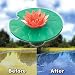 Outdoor Living : LILY POND CLEANER
