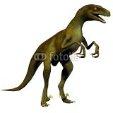 Wallmonkeys Peel and Stick Wall Decals - Dinosaur Velociraptor - 36H x 36W Removable Graphic