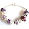 Purple Rain Pandora/Troll Style Charm Bracelet- Ideal Birthday/Christmas Present - 20cm silver plated clasp bracelet - Packaged in a lovely organza gift bag