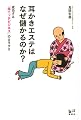 耳かきエステはなぜ儲かるのか? 成功する「超ニッチビジネス」のカラクリ (講談社BIZ)
