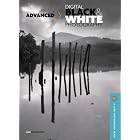 Click here to buy Advanced Black and White Digital Photography (A Lark Photography Book) by  John Beardsworth.