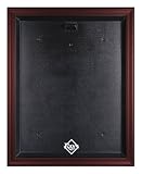 Tampa Bay Rays Mahogany Framed MLB Jersey Display Case