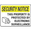 Brady 95494 Security Sign