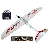 TW-742-2 Phoenix 4-Channel Radio Controlled R C Airplane ---NEW!! by Lanyu