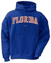 Florida Gators Nike Classic Hooded Sweatshirt