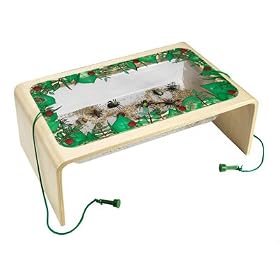 Magnetic Bug Life Handheld Bentwood by Anatex by Anatex