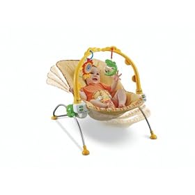 Fisher-Price Rocking Baby Bouncer $27.08