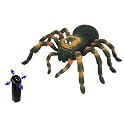 Special Action Series Remote-Controlled Tarantula