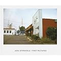 Joel Sternfeld: First Pictures