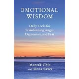 Emotional Wisdom: Daily Tools for Transforming Anger, Depression, and Fear