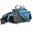 L.L.Bean Lumbar Pack Day Trekker