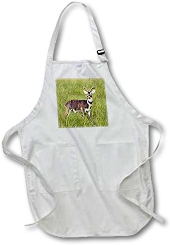 Danita Delimont - Antelopes - Male White-eared Kob, Kobus kob leucotis, Boma National Park, Sudan. - Full Length Apron with Pockets 22w x 30l (apr_209518_1)