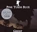 Anklicken zum Vergrößeren: Pink Turns Blue - Ghost (Digipack) (Audio CD)