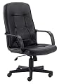 Ergonomic Office Chair - High Back Contemporary Executive Swivel Chair - H8021-GG