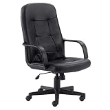 Ergonomic Office Chair - High Back Contemporary Executive Swivel Chair - H8021-GG