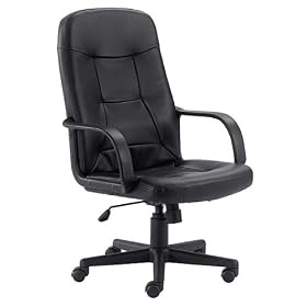 Ergonomic Office Chair - High Back Contemporary Executive Swivel Chair - H8021-GG