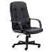 Ergonomic Office Chair - High Back Contemporary Executive Swivel Chair - H8021-GG
