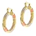 Stunning Women Gold Plated Diamond-Cut Hoop title=
