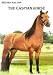 The Caspian Horse