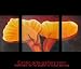 Chinese Flower Painting Feng Shui Artwork Oriental Painting 15 644