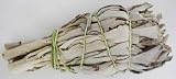 NEW Small California White Sage Bundle (Smudge Sticks) Pack of 3