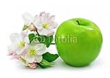 Wallmonkeys Peel and Stick Wall Decals - Green Apple Fruit Isolated with Pink Flowers on Branch - Removable Graphic
