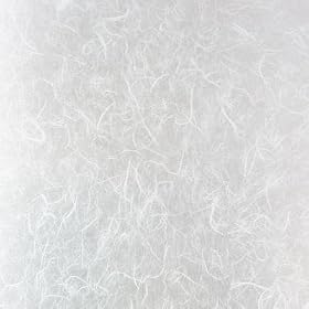 Rice Paper Sidelights Window Film 12-by-80-Inch by Artscape