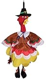 In the Breeze Turkey Wind Friend 3D Windsock
