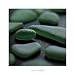 (13x13) Celia Pearson Sea Glass Jade Art Print Poster