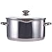 WearEver Cook & Strain 5-Quart Stainless Steel Covered Dutch Oven