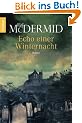 Echo einer Winternacht: Thriller