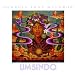 Umsindo cd cover art