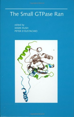 The Small GTPase Ran On Sale